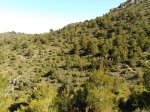 DSC03854.jpg