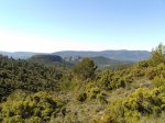 DSC03860.jpg