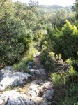 DSC03864.jpg