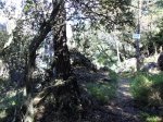DSC03866.jpg