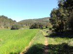 DSC03870.jpg