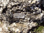 DSC03907.jpg