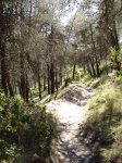 DSC03937.jpg
