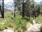 DSC03938.jpg