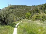 DSC03939.jpg