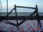 kuota 001.jpg