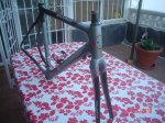 kuota 005.jpg