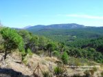 30-2_PanoramicaPinares.jpg