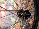 DSC00689.JPG