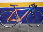 BICI ORBEA DARIO 007.jpg