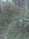 DSC00150.jpg