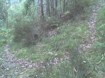 DSC00149.JPG
