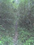 DSC00148.jpg