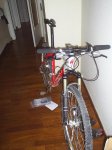 S4010029.JPG