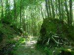 DSCN2570.JPG