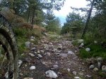 10062010227.jpg