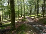 10062010285.jpg