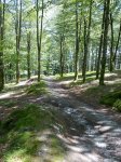10062010286.jpg