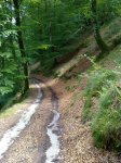 10062010283.jpg