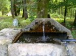 10062010293.jpg