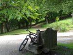 10062010295.jpg