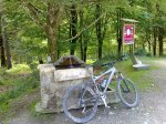 10062010292.jpg