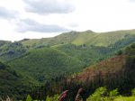 10062010296.jpg