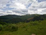 10062010297.jpg