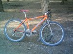 IMAG0055.jpg
