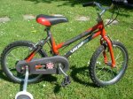 DSCN4648_800x600.jpg