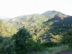 05062010261.jpg