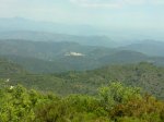 05062010270.jpg