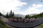 296-PIC117562236.jpg