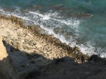 IMG_3338.jpg