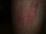 12062010128.jpg