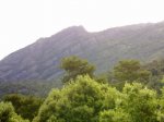 12062010760.jpg