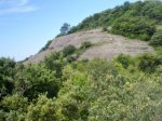 12062010763.jpg