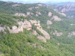 12062010765.jpg