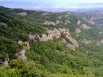 12062010762.jpg