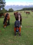 12062010110.jpg