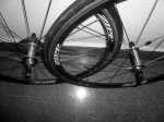 Zipp-203.jpg