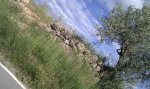 IMAG0023_resize.jpg