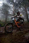 _DSC2947m.jpg