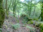 12062010017.jpg