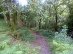12062010018.jpg