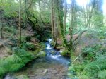 12062010023.jpg