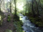 12062010027.jpg