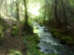 12062010028.jpg