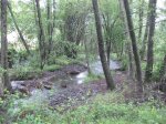 IMG_1431.jpg