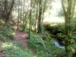 12062010030.jpg